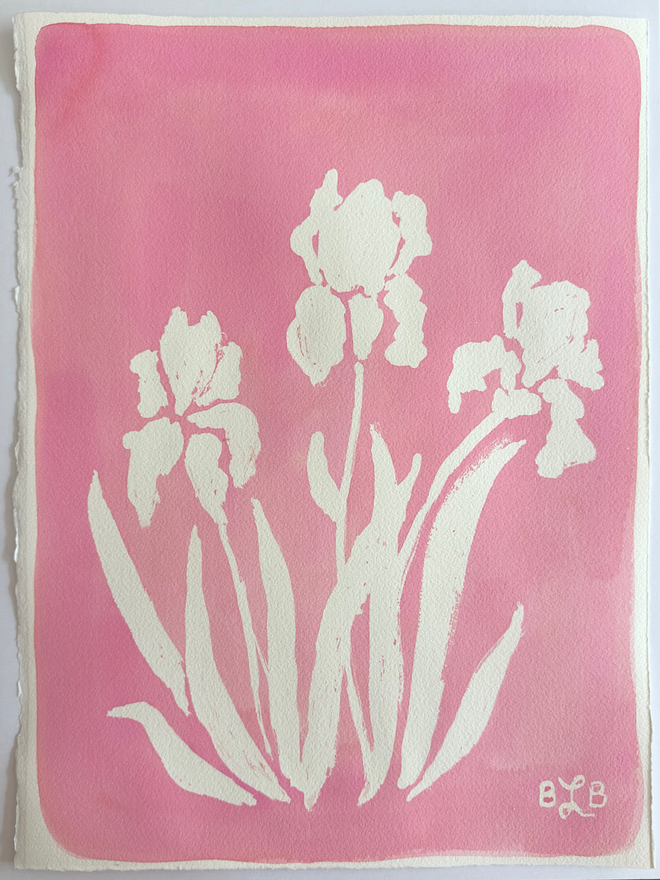 Happy Iris