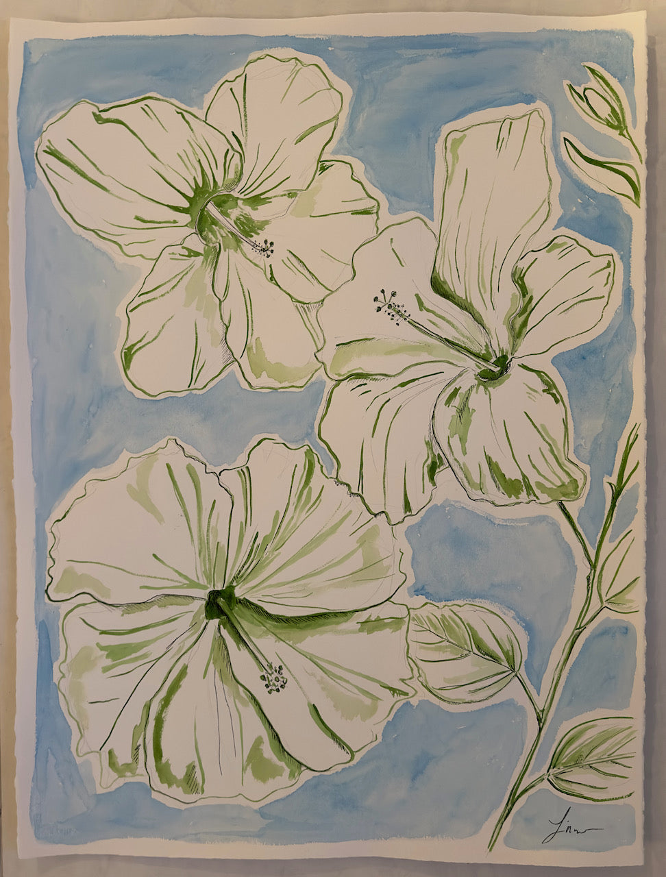 Hibiscus Haven 2