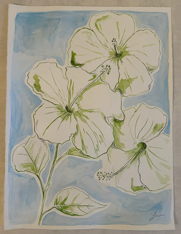 Hibiscus Haven