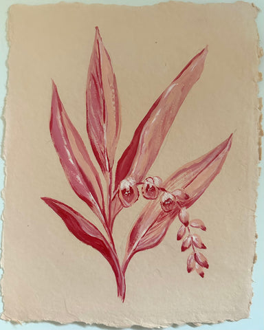 Pink Porcelain Lily