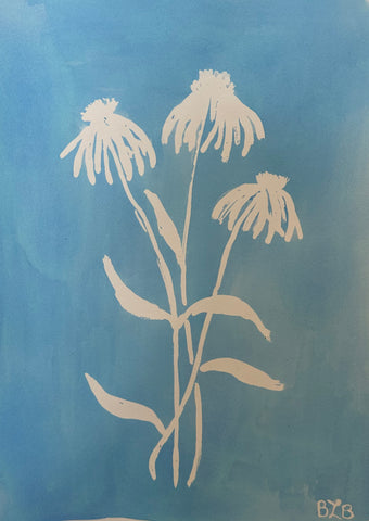 Coneflower