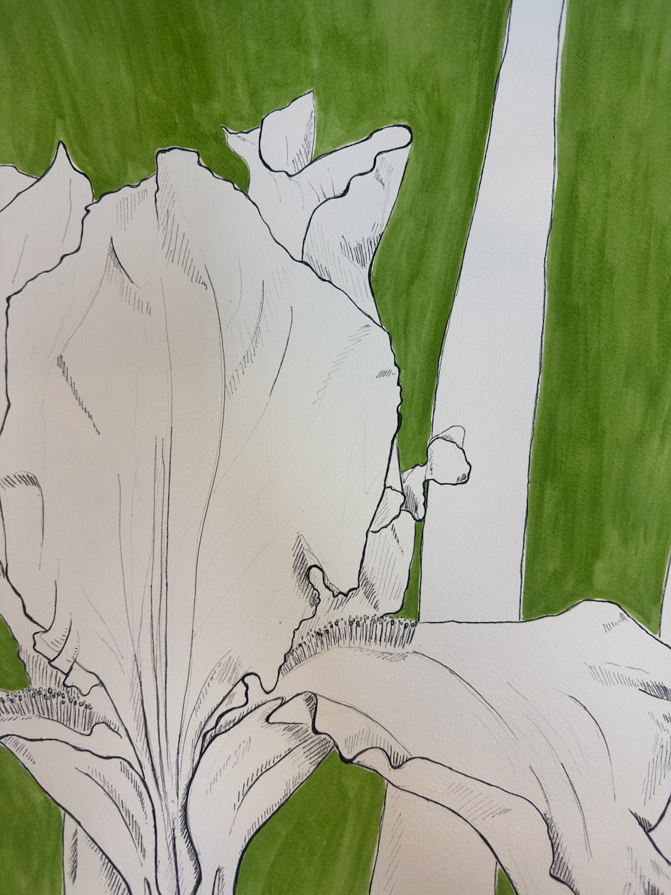 Opal Orchid