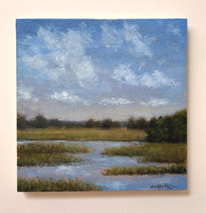 Marsh Study