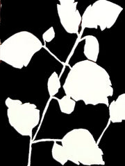 Wandered Through the Trees 4