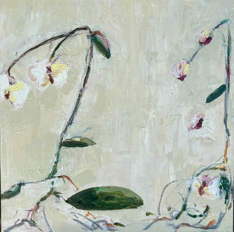 Orchid
