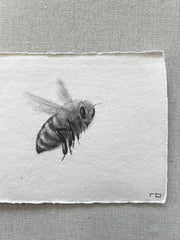 Bee I