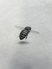 Bee VI