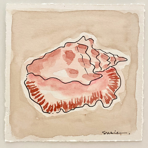 Mini Shell No. 10