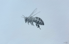 Bee 2