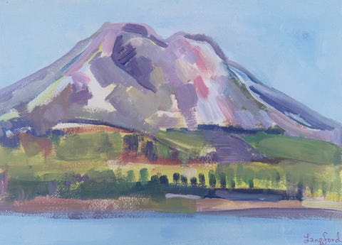 South Sister Study