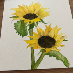 Sunflowers