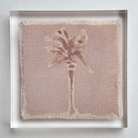 Original Hurricane Palm 2