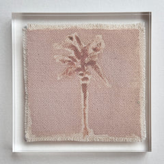 Original Hurricane Palm 2