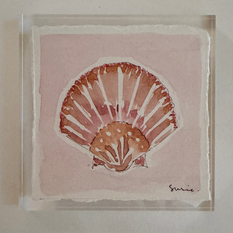 Original Seashell 19