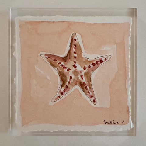 Original Seashell 21