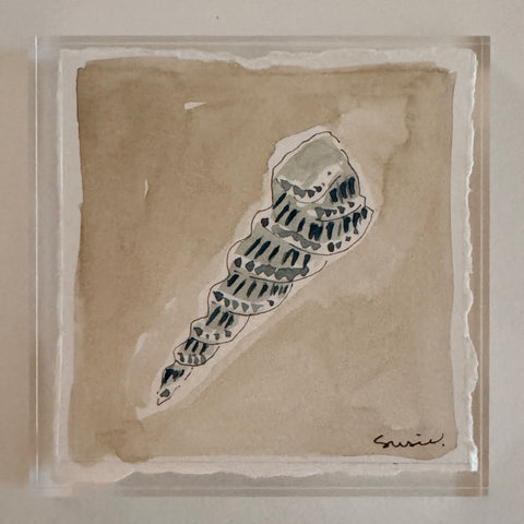 Original Seashell 27