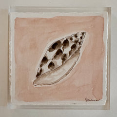 Original Seashell 30
