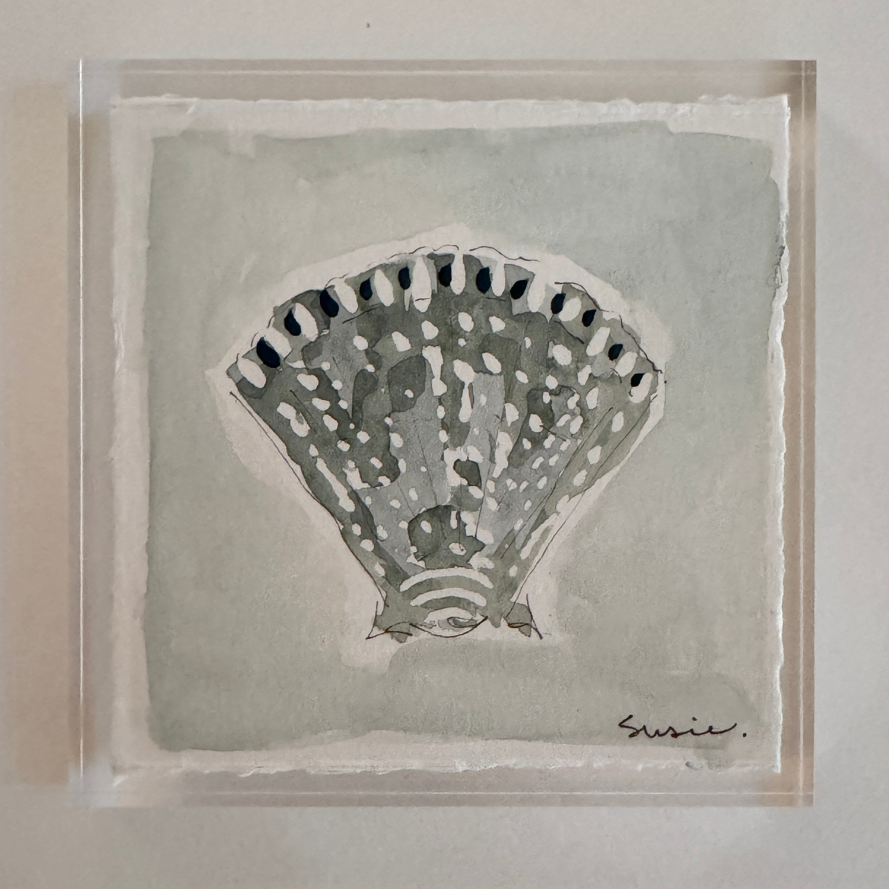 Original Seashell 4