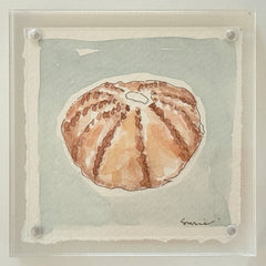 Original Susie Shell No. 10