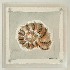 Original Susie Shell No. 19