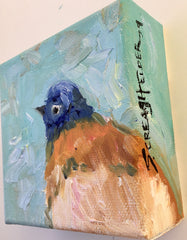 Bluebird Profile