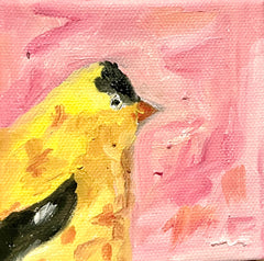 Goldfinch in Pink