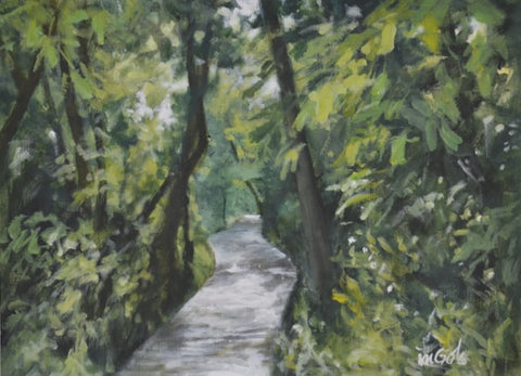 Path, Forest Boardwalk