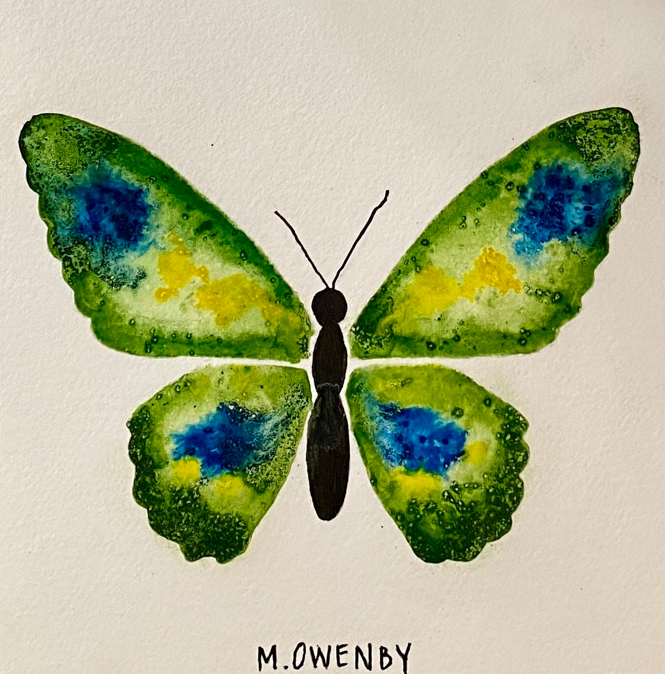 Butterfly No. 4