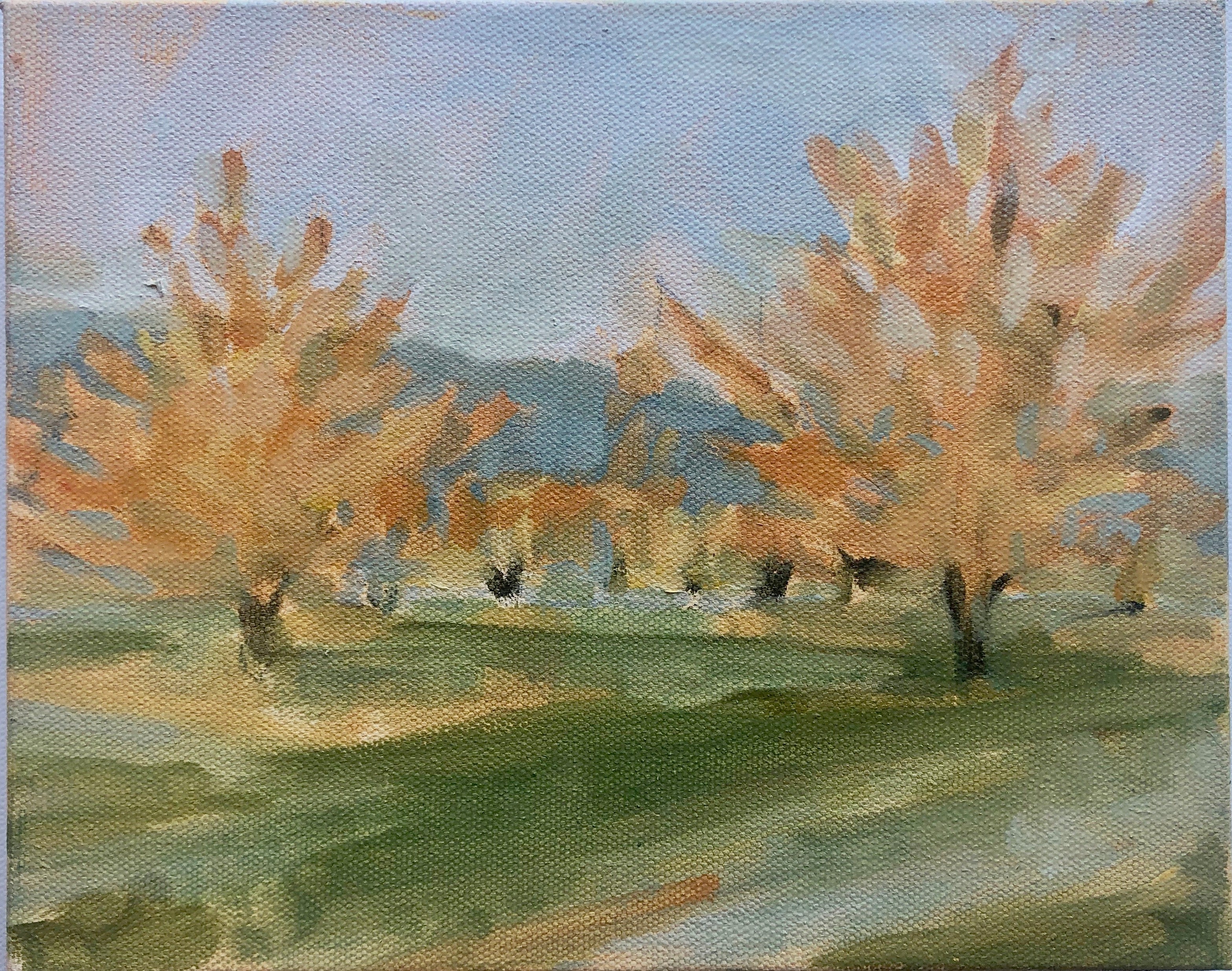 Orchard III