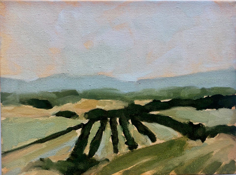 The Distant View