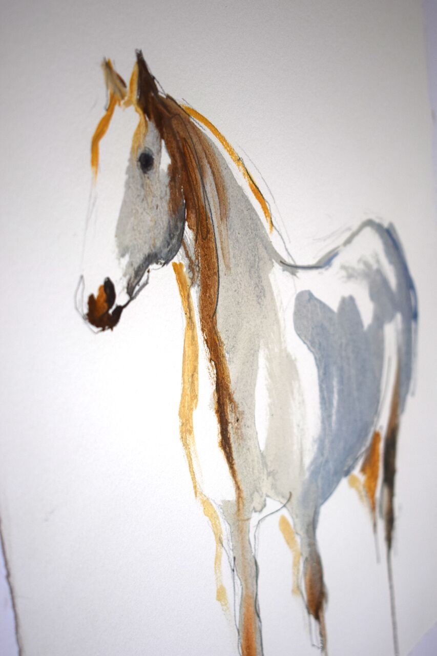 Horse Study I