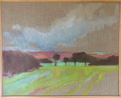 Flood Plains Study