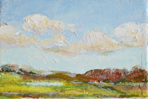 The Landscape