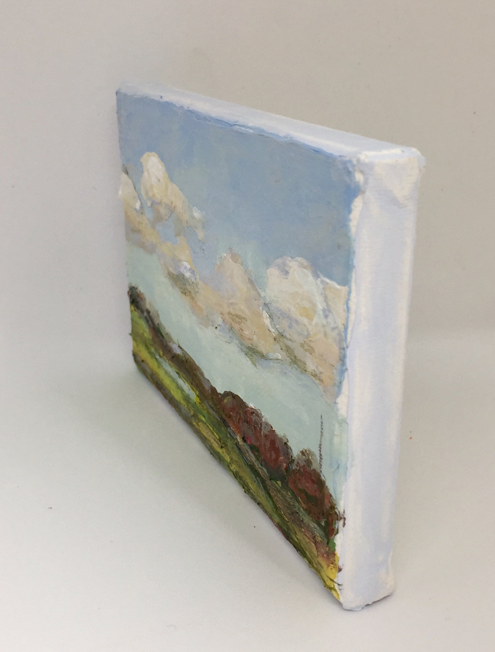 The Landscape