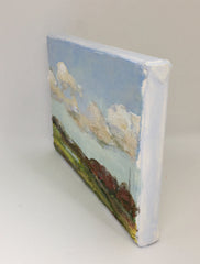 The Landscape