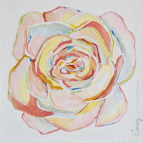 Rose of Many Colors
