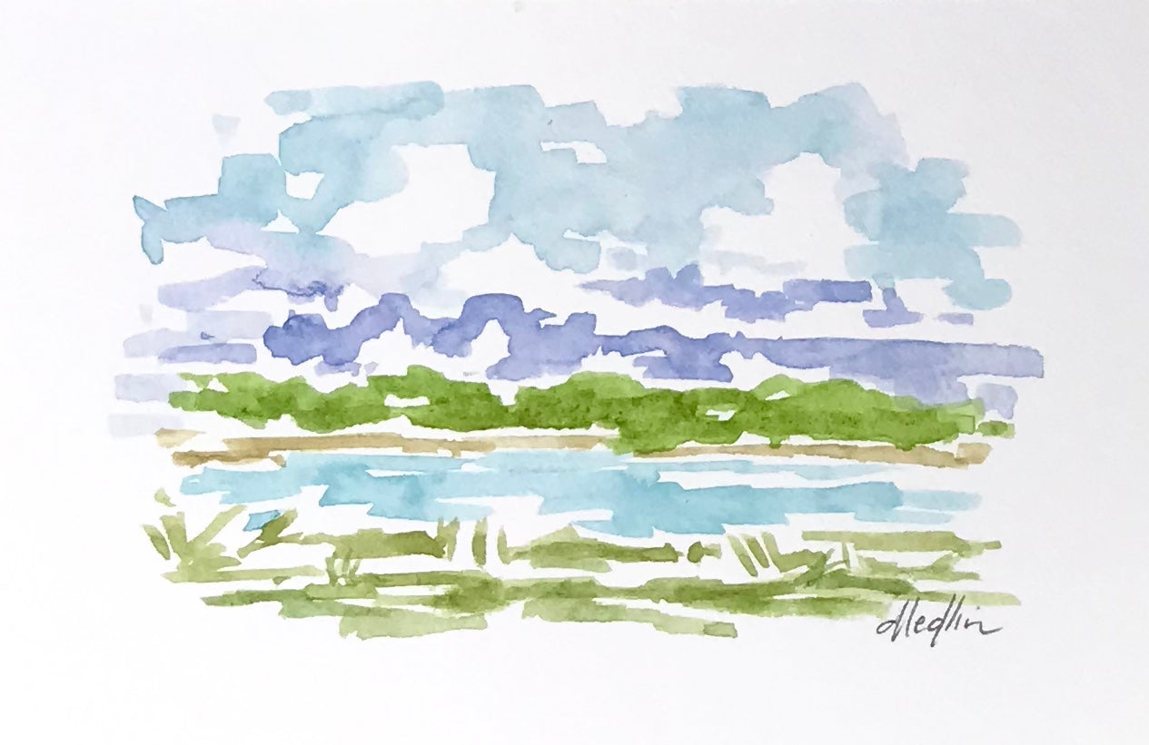 Coastal VI