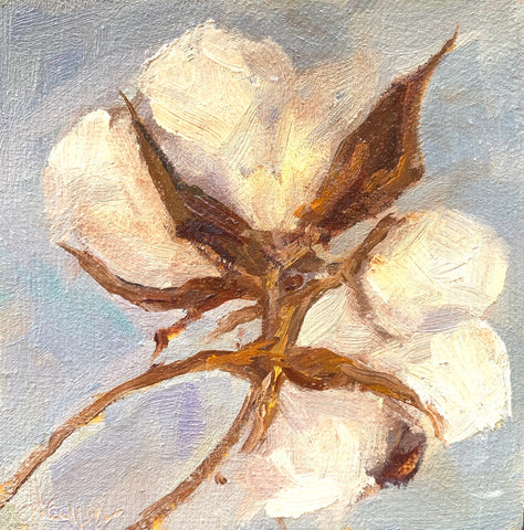 Cotton V