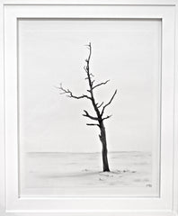 Beach Tree