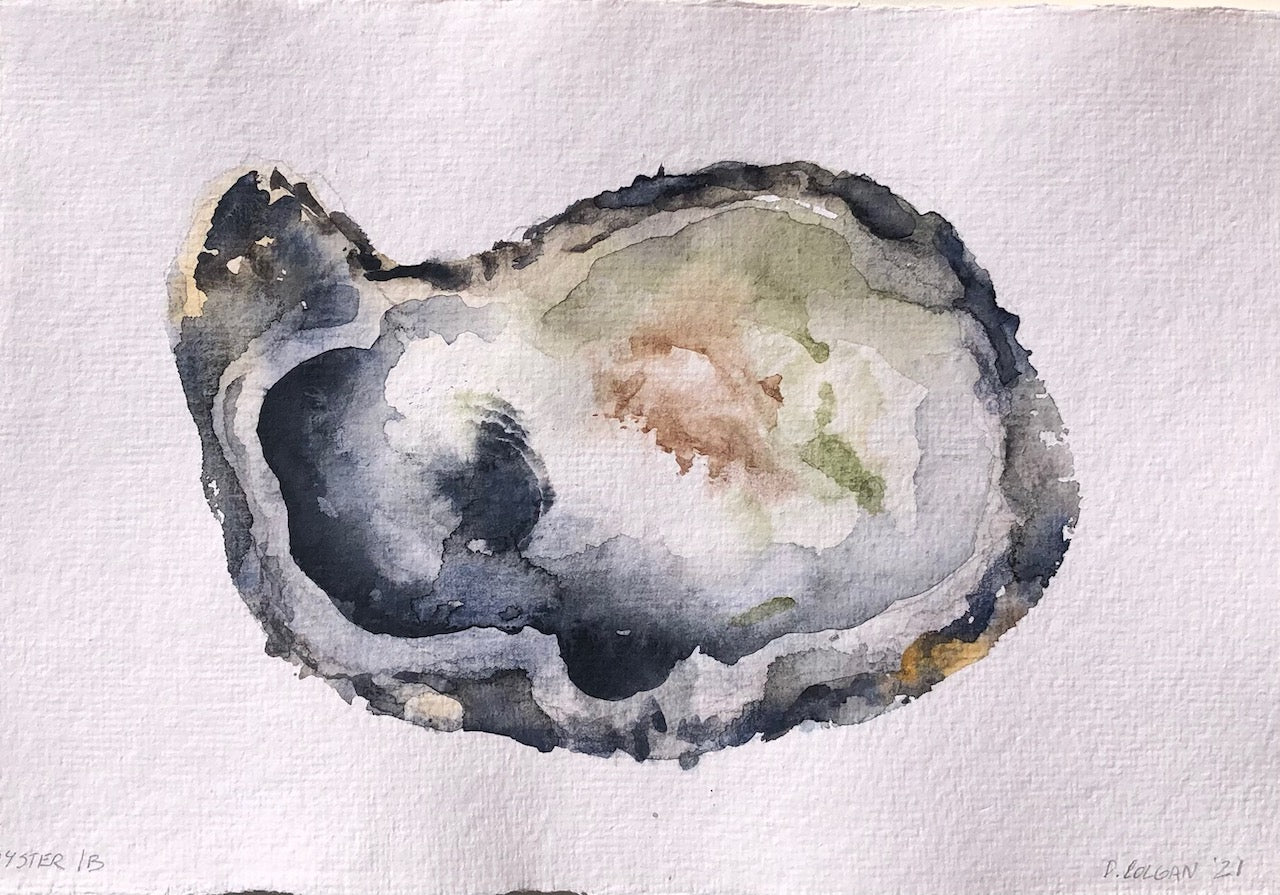 Oyster 1B
