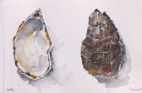 Oyster Pair