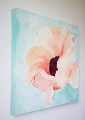 Poppy