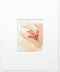 Peach Peony