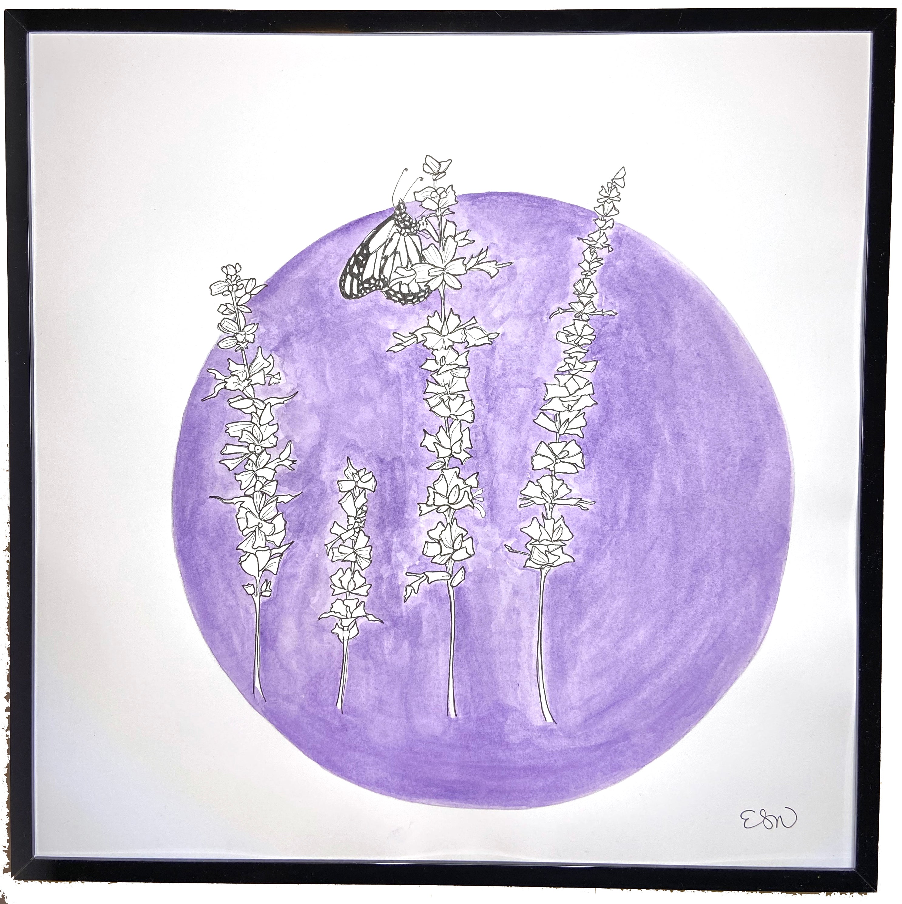 Lavender