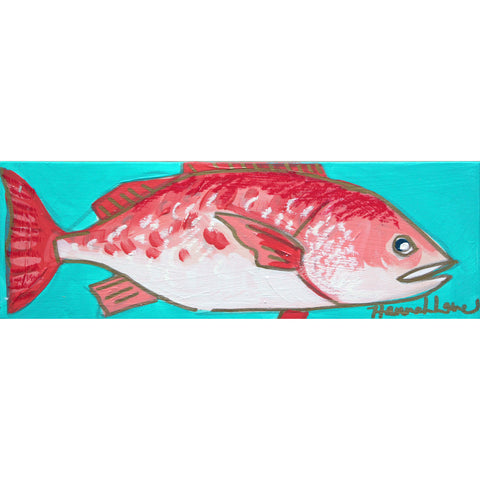 Red Snapper 4