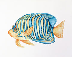Just Keep Swimming