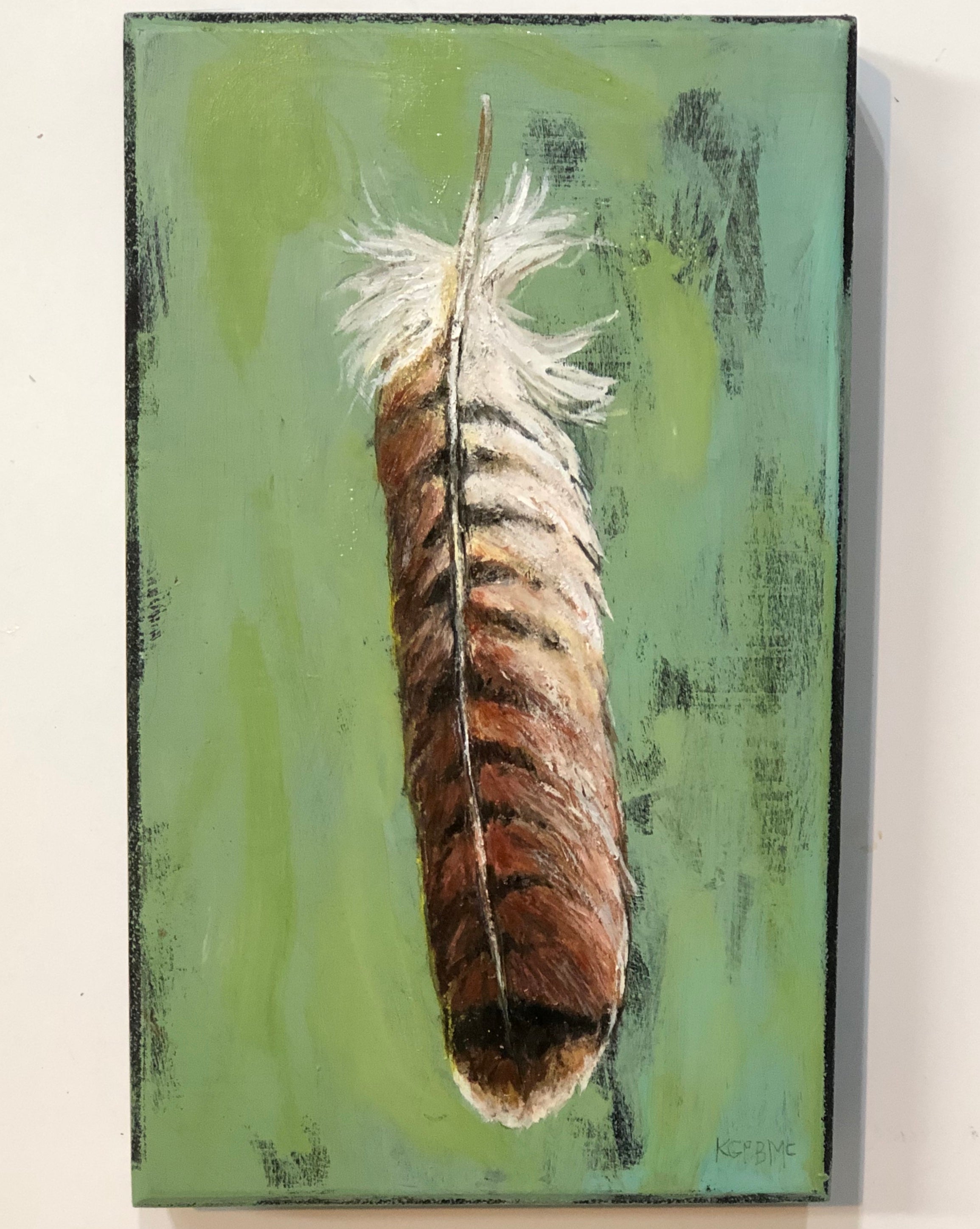Red Tail Hawk Feather