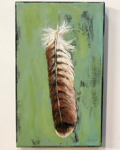 Red Tail Hawk Feather