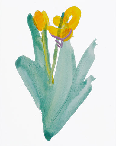 Painting 1345 Daffodil II