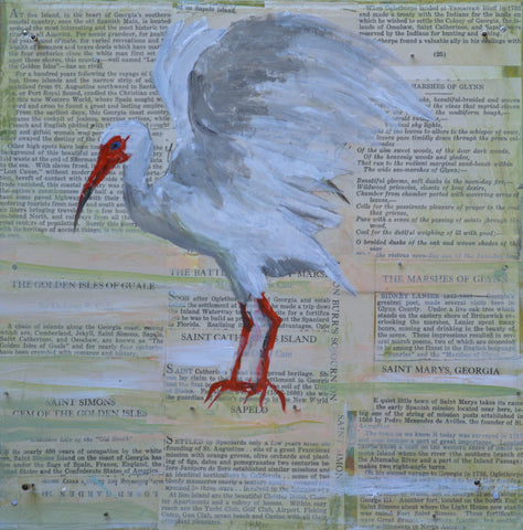 Landing on the Georgia Coast